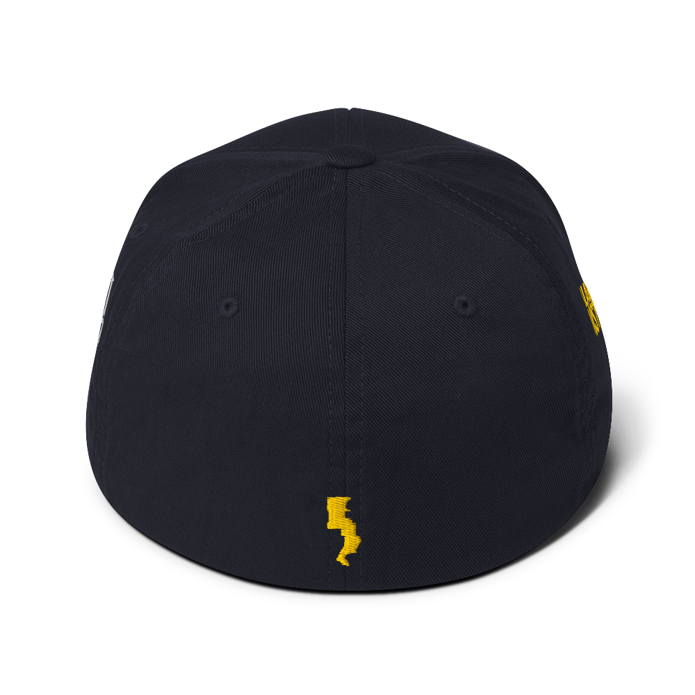 Run Forrest Run structured twill cap, dark navy, back view