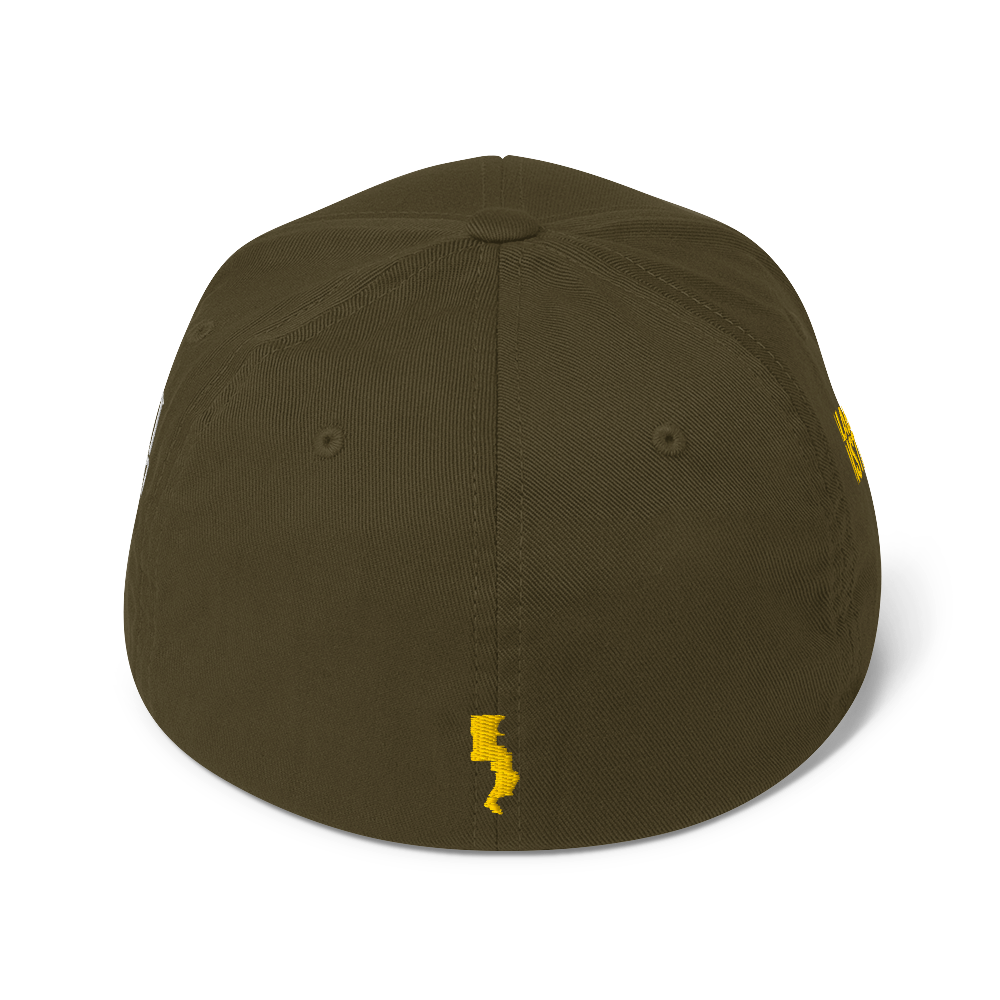Run Forrest Run structured twill cap, olive, back view