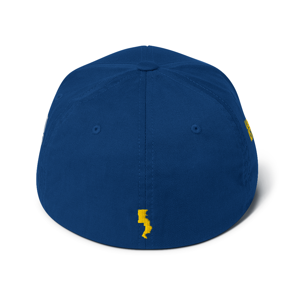 Run Forrest Run structured twill cap, royal blue, back view