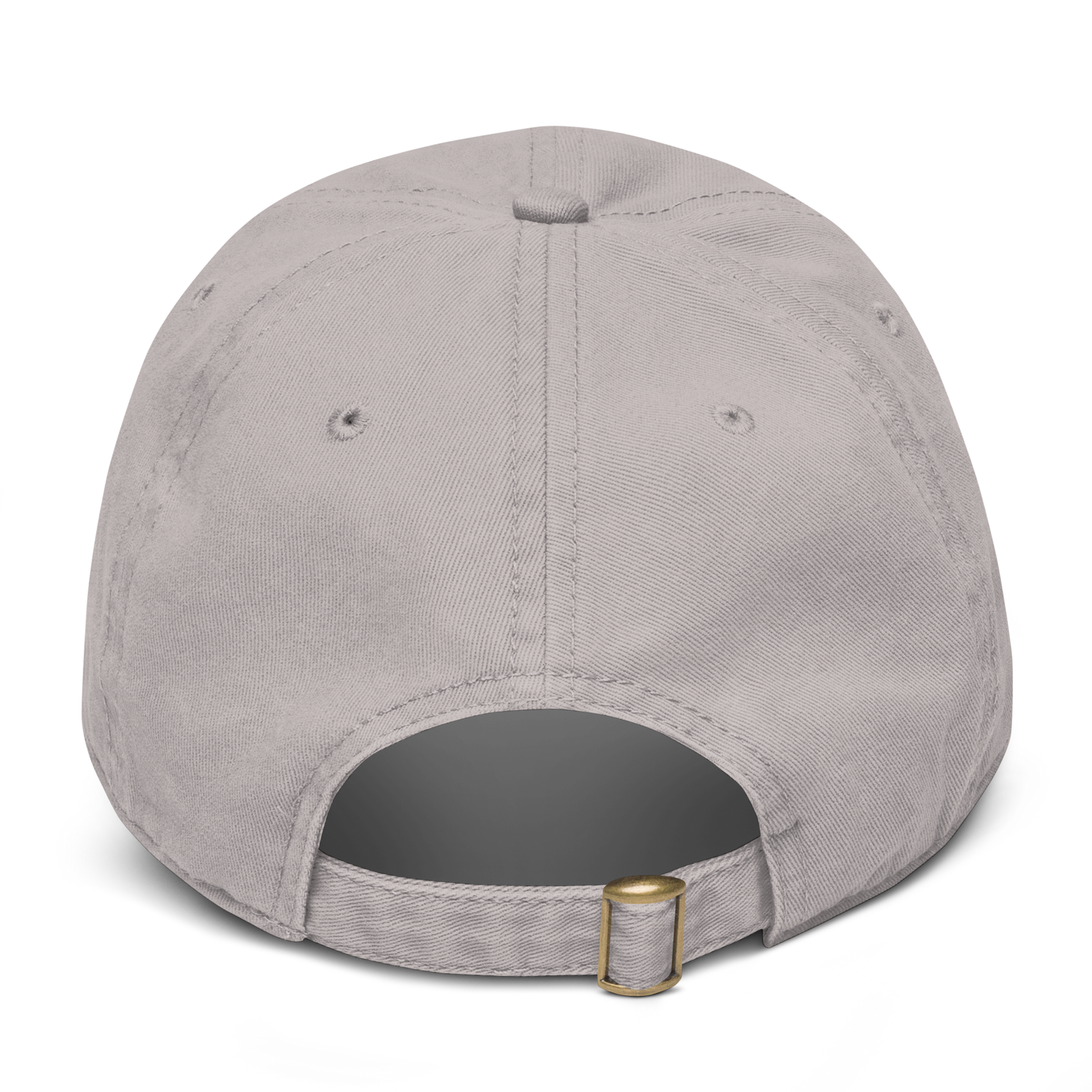 Forrest for Alabama garment-washed gray cap, back view