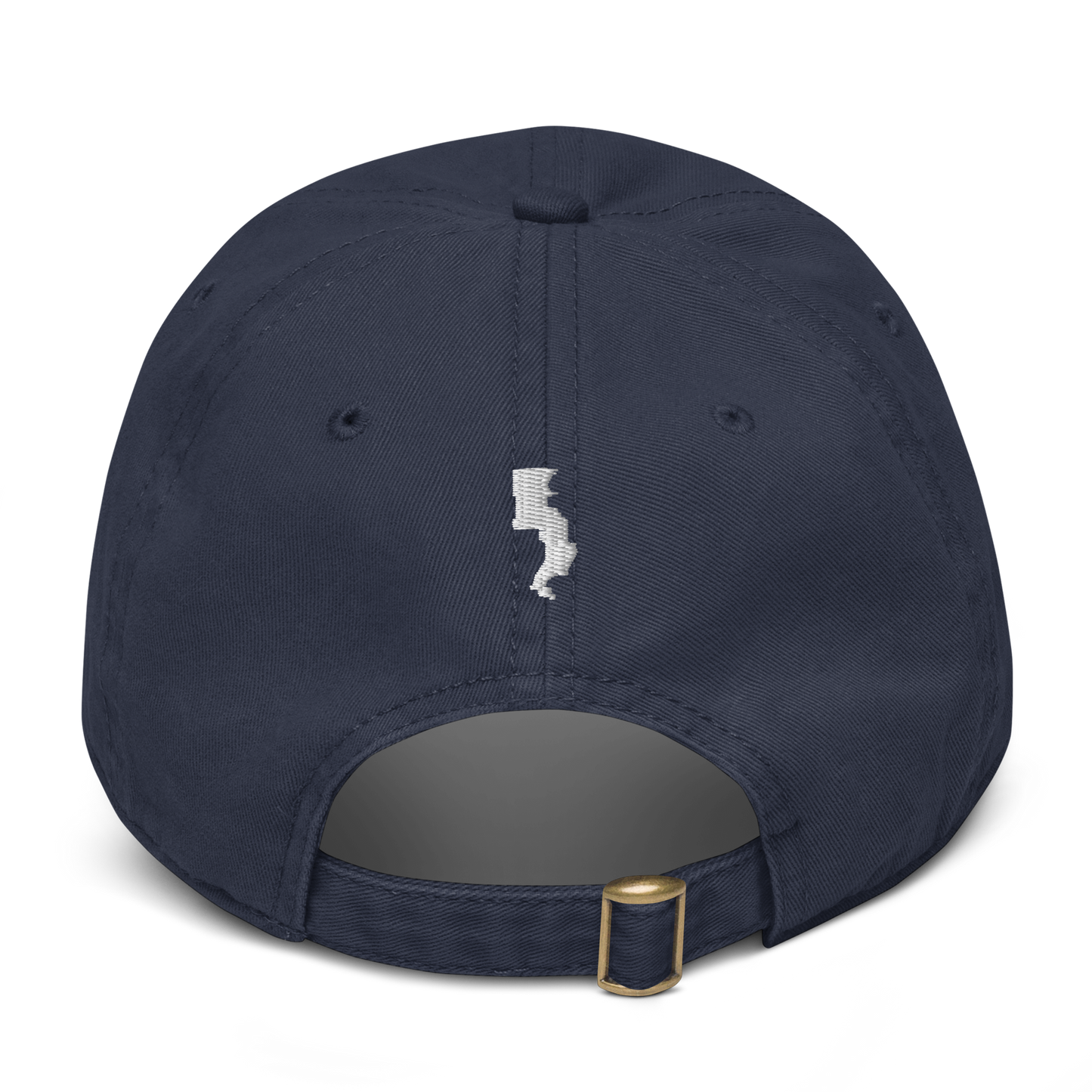 Run Forrest Run garment-washed navy cap, back view