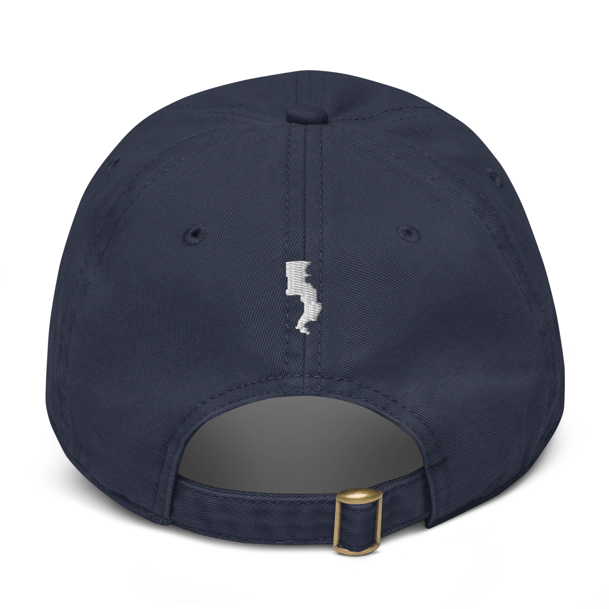 Run Forrest Run garment-washed navy cap, back view