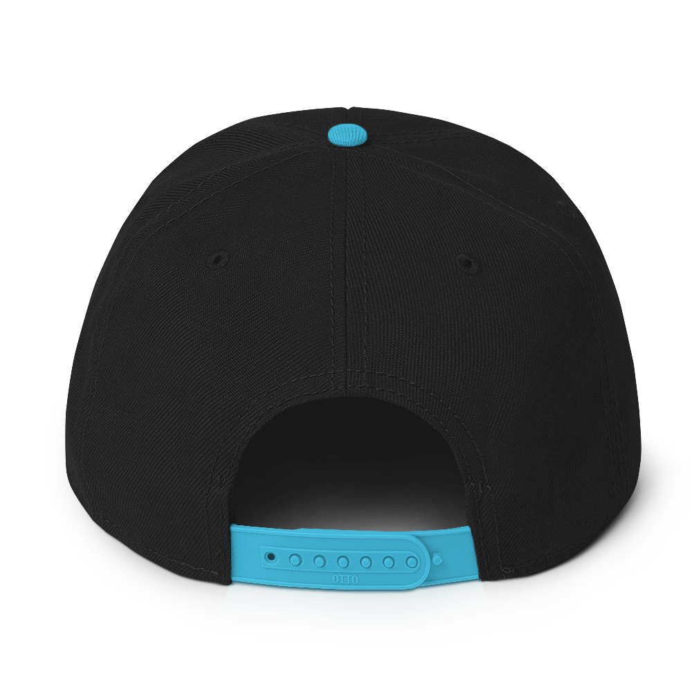 Forrest for Alabama black and aqua snapback hat, back view