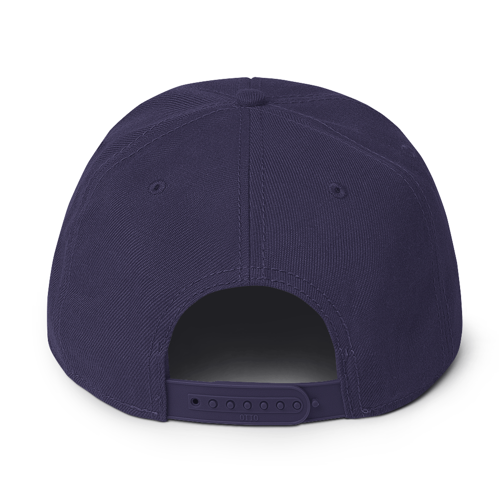 Forrest for Alabama navy blue snapback hat, back view